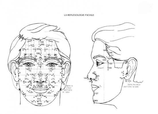Réflexologie faciale